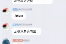 聊城融资清欠服务